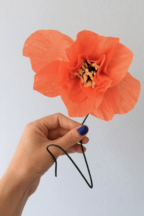 Paper Flower Poppy | Red
