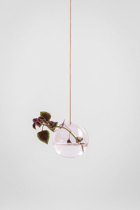 Hanging Flower Bubble | Medium | Rose