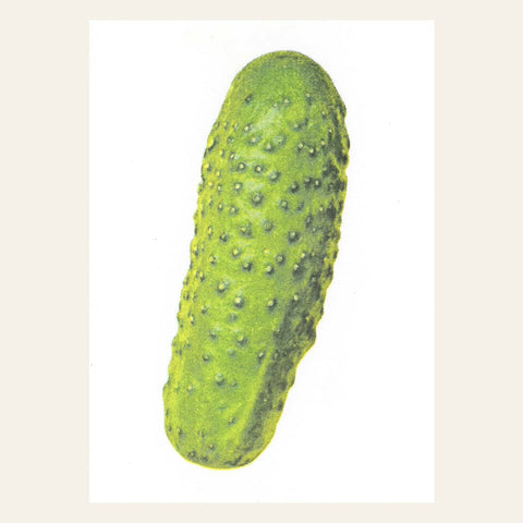 Postkarte Essiggurke