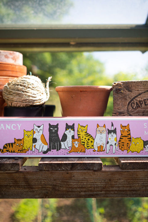 Fancy Cat Streichhölzer lang