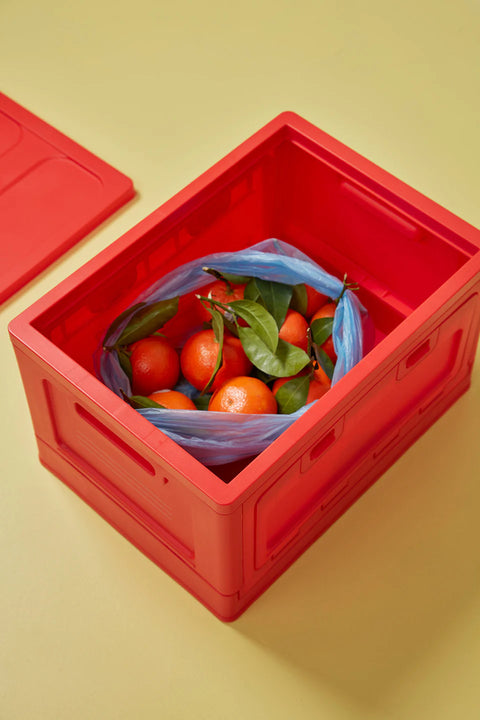 Box Medium | Rot