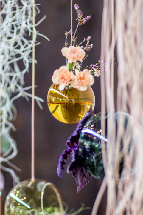 Hanging Flower Bubble | Small | Amber