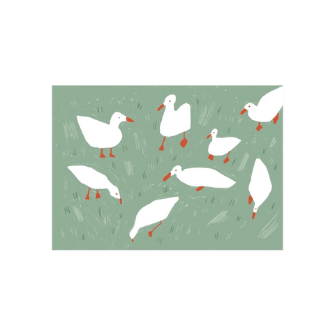 Postkarte Enten