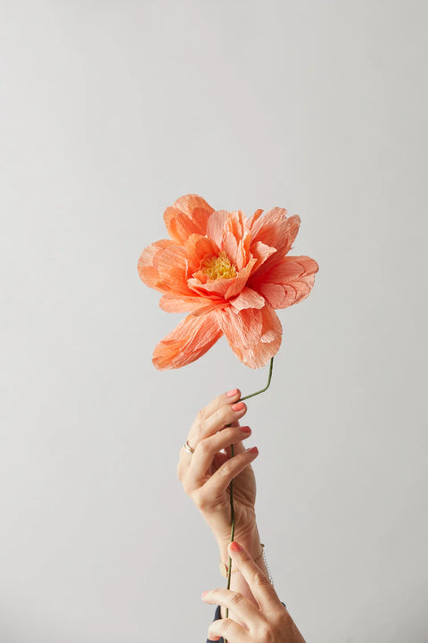 Paper Flower Grand Peony | Peach