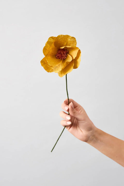 Paper Flower Windflower | Ochre