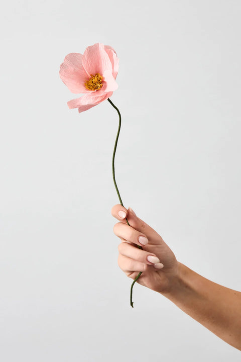Paper Flower Windflower | Rosé