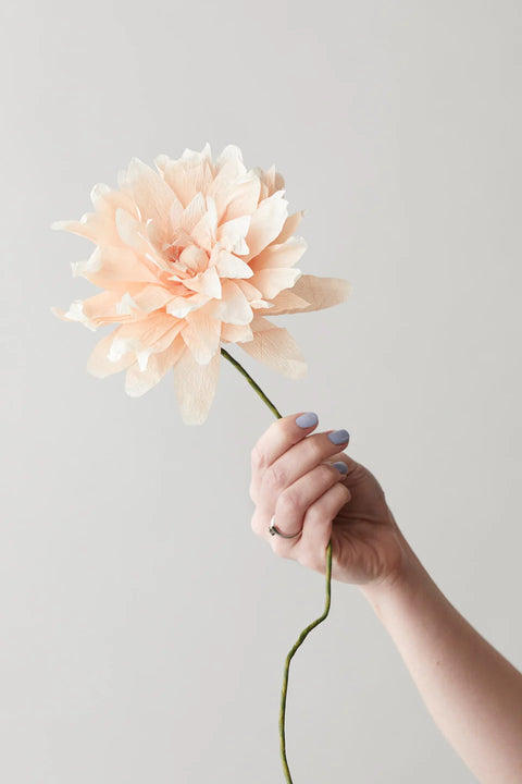 Paper Flower Grand Dahlia | Nude