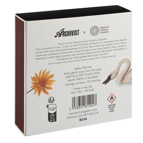 Gemeiner Schwan Streichhölzer