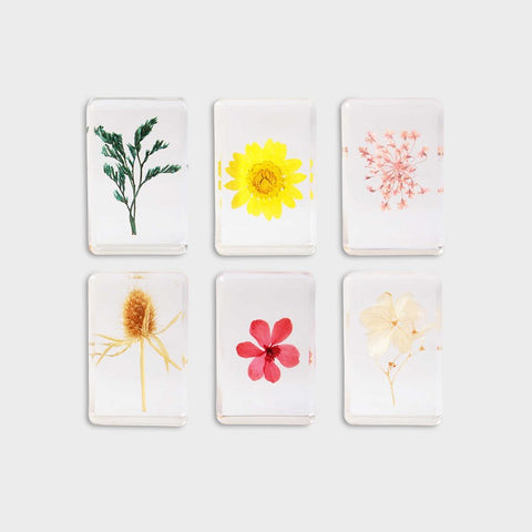 Cube Wildflower