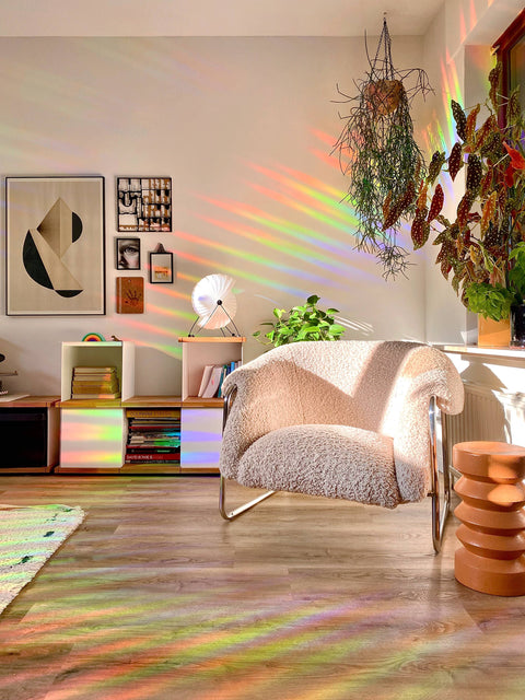 Sonnenfänger Flieder