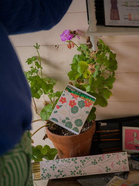 Kapuzinerkresse Streichhölzer