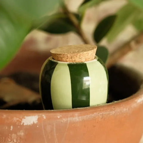 Olla | Grün-Grün