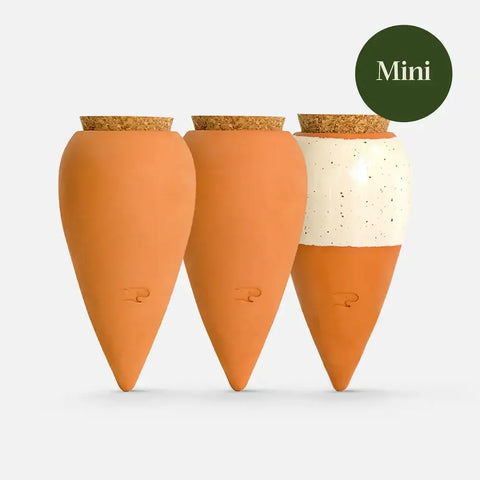 Box Trio Mini-Ollas / Icons