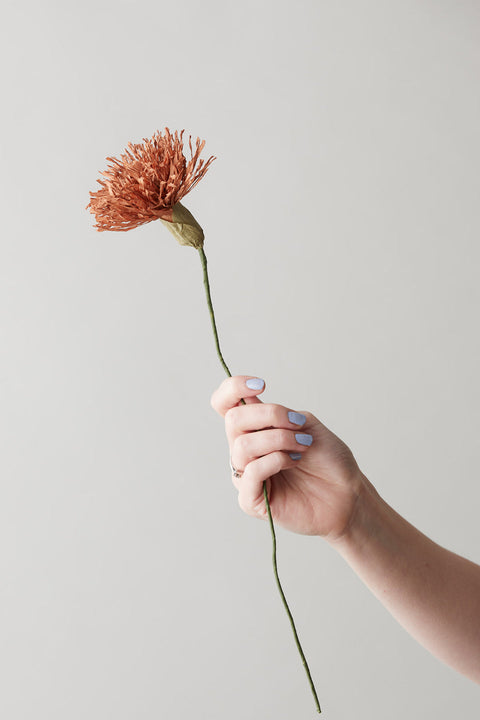 Paper Flower Chrysanthenum | Dark Ochre