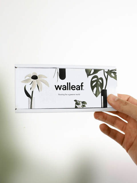 Walleaf 1-pack XL