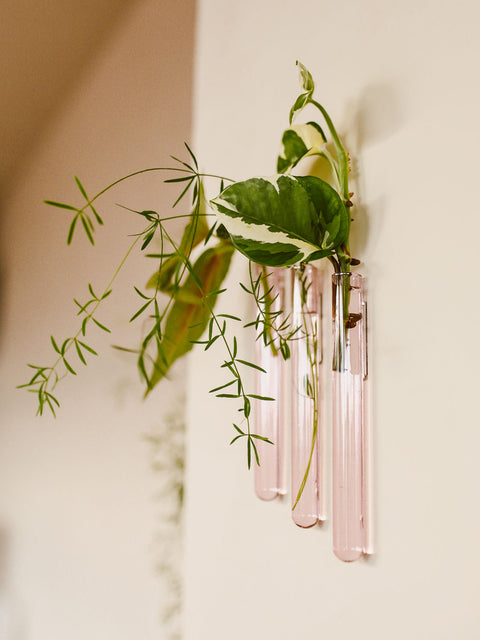Walleaf 3-pack