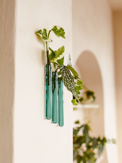 Walleaf 3-pack