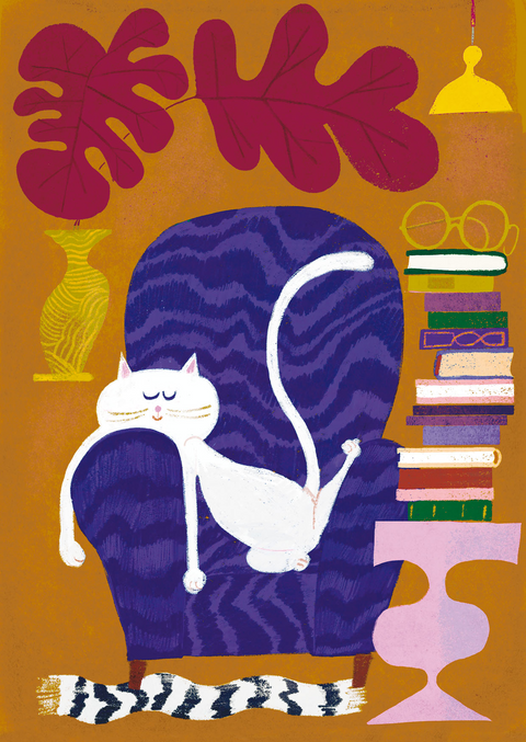 Postkarte Catnap