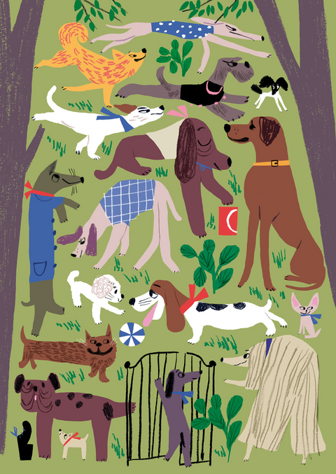Postkarte Dog Park