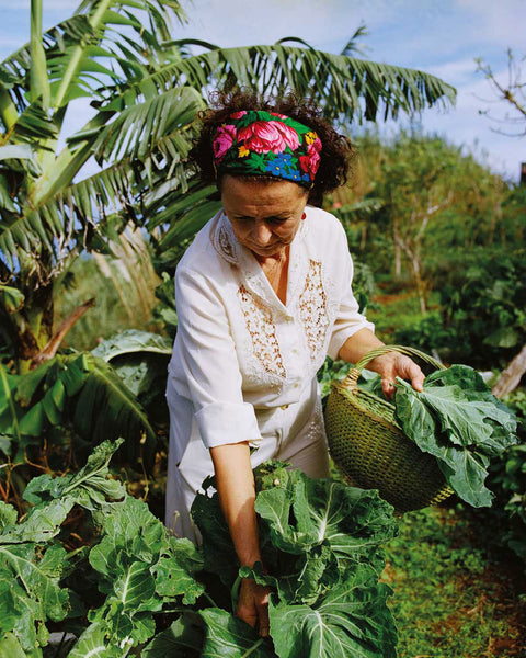 Madeira: Recipes & Wandering