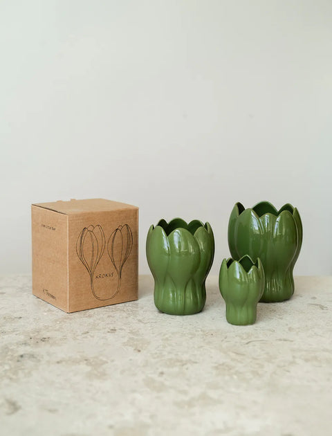 Krokus Vase