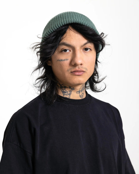 Wolvis Beanie
