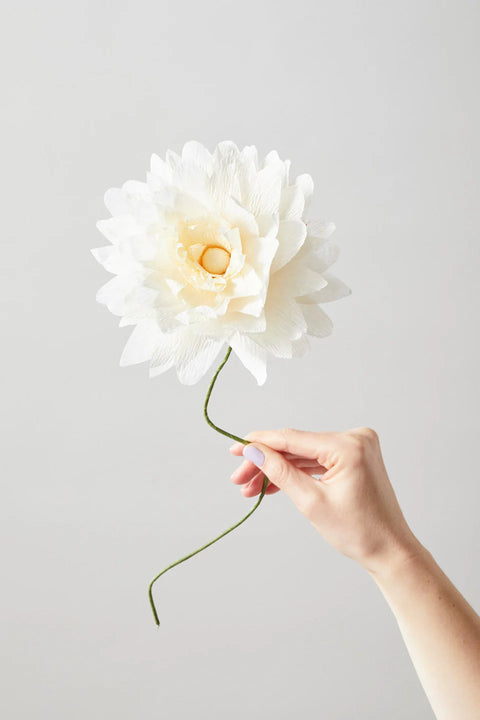 Paper Flower Grand Dahlia | Sand