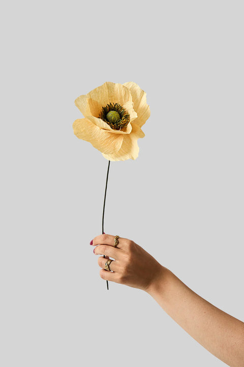 Paper Flower Papaver | Soft Peach