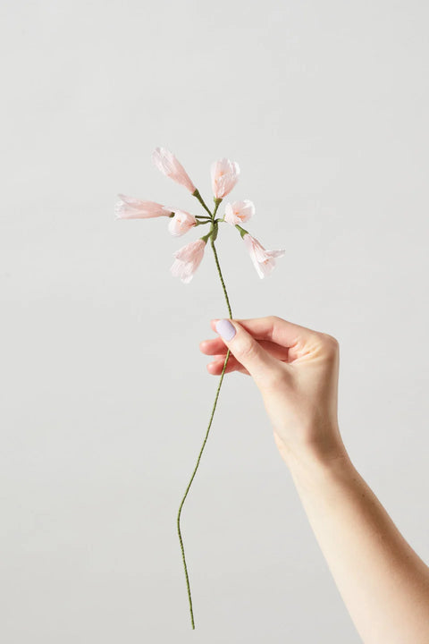 Paper Flower African Lily